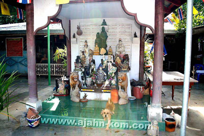 Ajahn Kom weihte dem Zentralen Schrein der Mae Quan Yim, die auch Dewi Quan Yim, Guanyim, Kuan Im, Kuan Yin und Quan Am oder Avalokiteshvara, sowie Phra Mae Umathewee genannt wird.